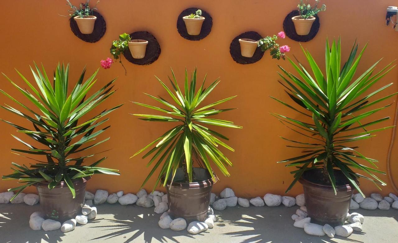 Residencial Maria Antonia Daire Governador Celso Ramos Dış mekan fotoğraf